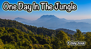 One Day Chiang Mai Trekking