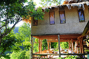 Tree House Village Chiang Dao